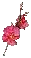Red Cherry Blossom Branch
